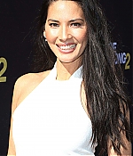 aom063.jpg